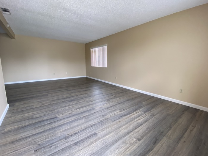 Primary Photo - Very Spacious 2Bed & 1 Bath
