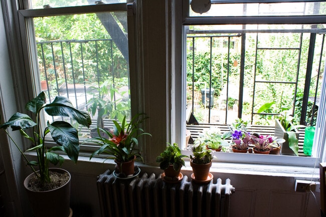 dining room window facing back - 415 2nd St