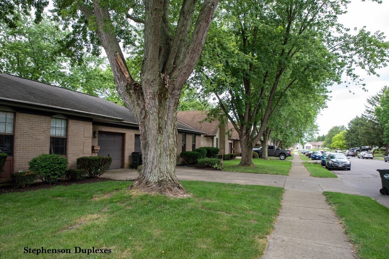 Primary Photo - Stephenson Duplexes