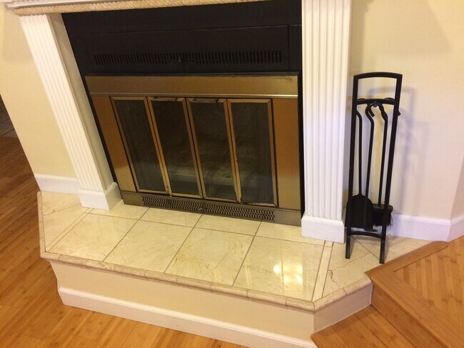 Fireplace - 322 N Boyle Ave