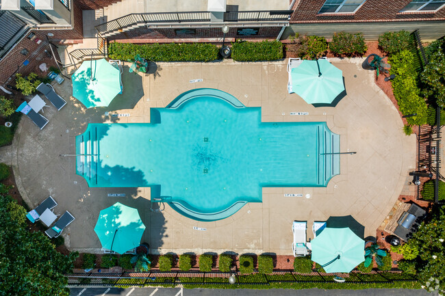 Phase 1 Pool - The Rocca Piazza at Paces