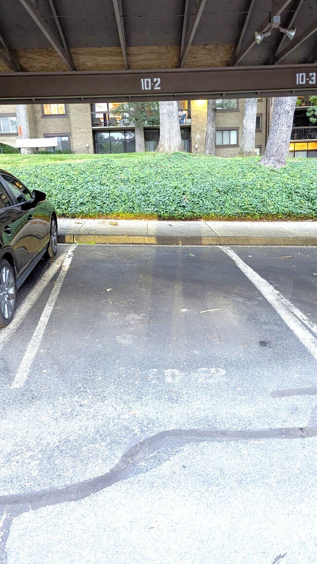 Assigned Carport Parking - 1657 Parkcrest Cir