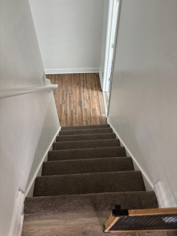 Building Photo - 4523 Greystock Cir