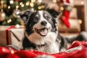 Building Photo - Northlake Lofts