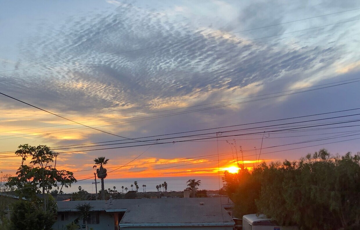 Foto del edificio - 3/2 single level ocean view home