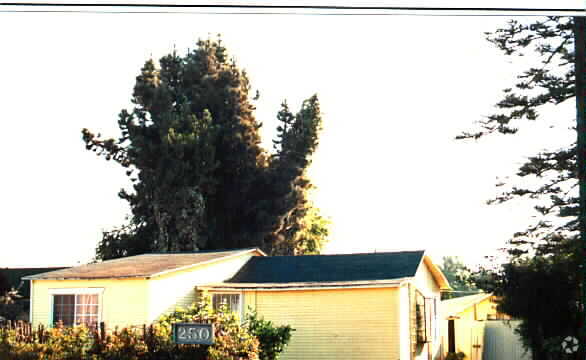 Building Photo - 250 Nellora St