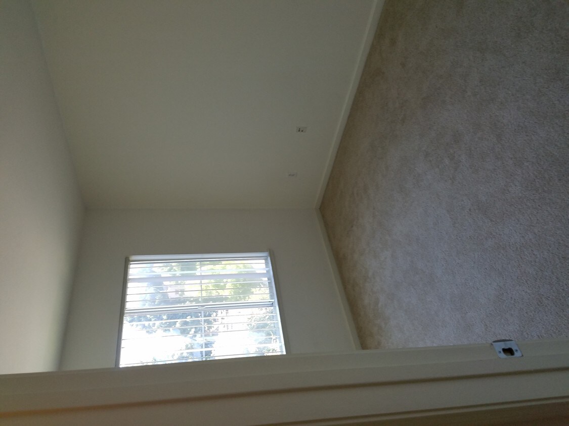 Foto principal - 1160 Chopin Terrace