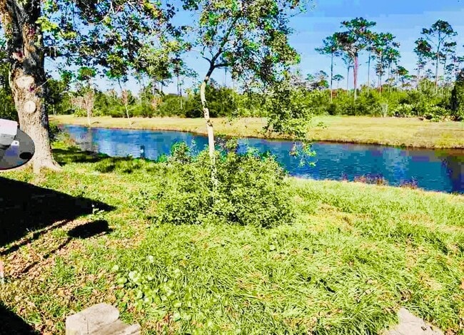 ¡Ahhh, qué patio trasero tan increíble! - 236 Lily Rd