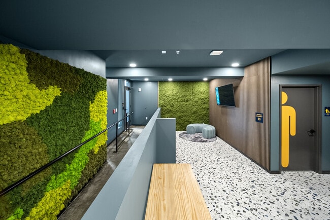 The Hive Apartments - The Hive Apartments