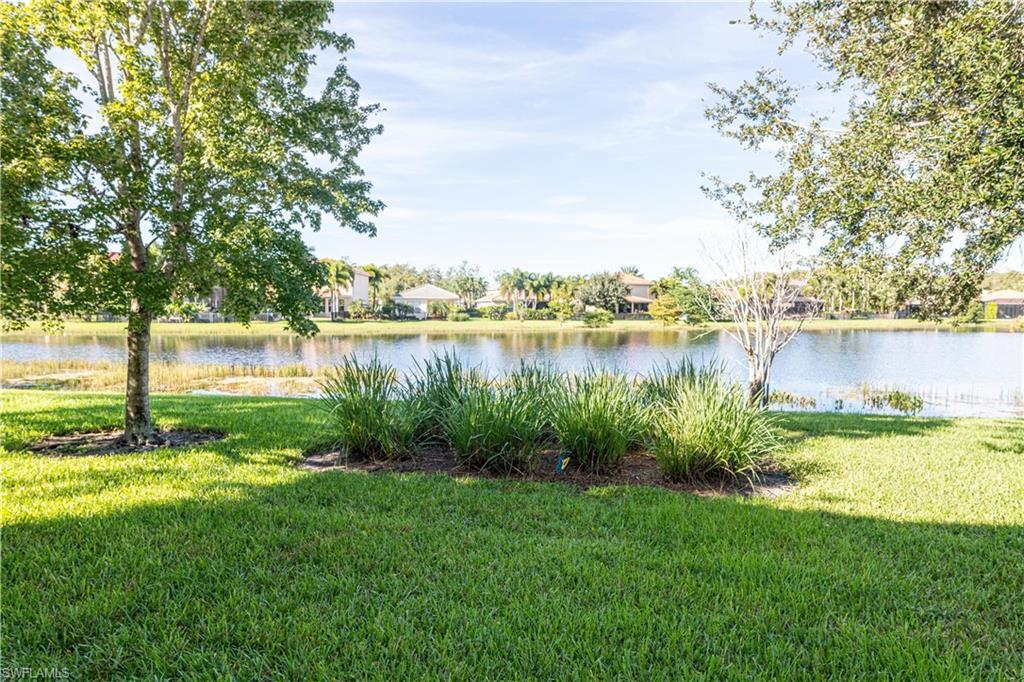 Primary Photo - 11266 Pond Cypress St