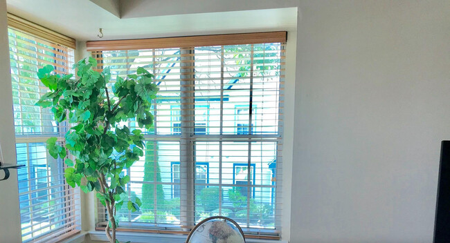 Living room with bright light windows around - 358 Andover Plz