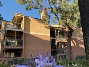 Building Photo - 10655 Lemon Ave