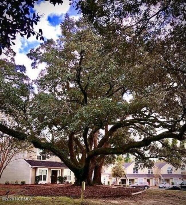 Foto del edificio - 6211 Wrightsville Ave