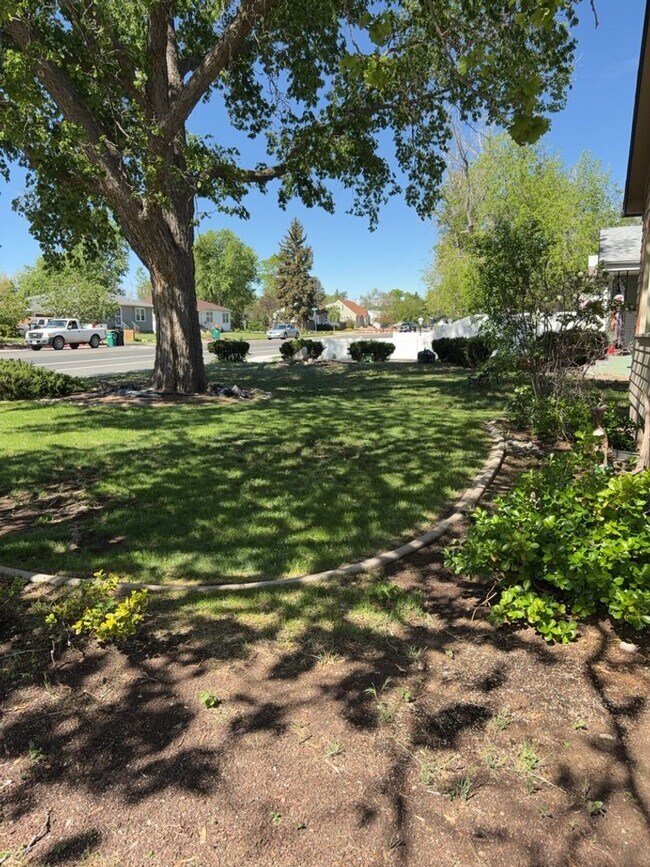 Foto del edificio - 3 Bed 2 Bath Cottage in Greeley