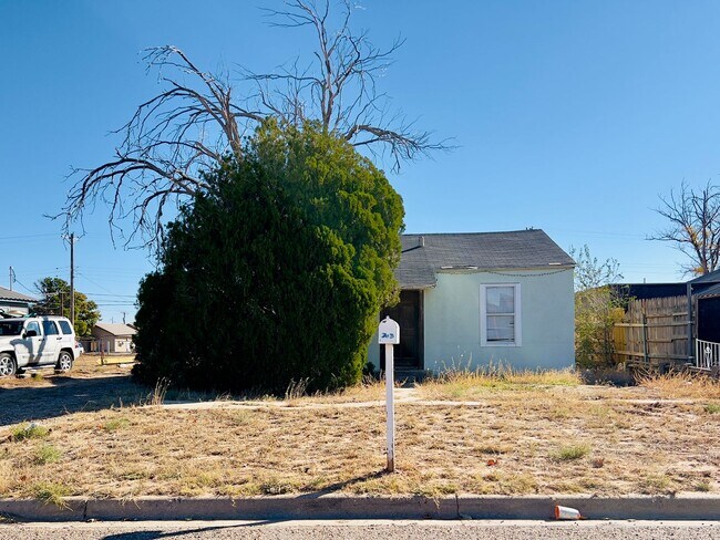 Foto del edificio - Charming Home in Levelland