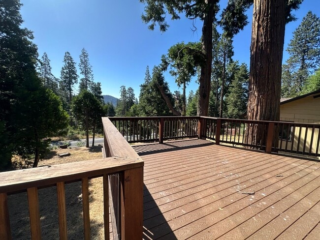 Building Photo - Cabin in the Pines