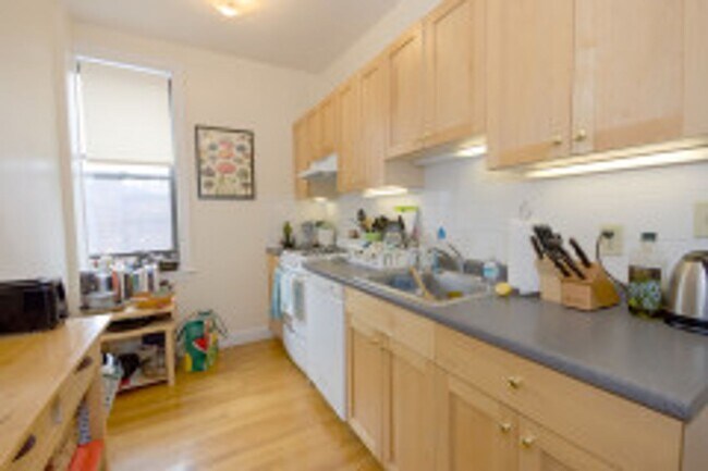 Building Photo - Spacious, Sunny, Updated Allston 2 Bed on Comm Ave for December 1st.  NO FEE