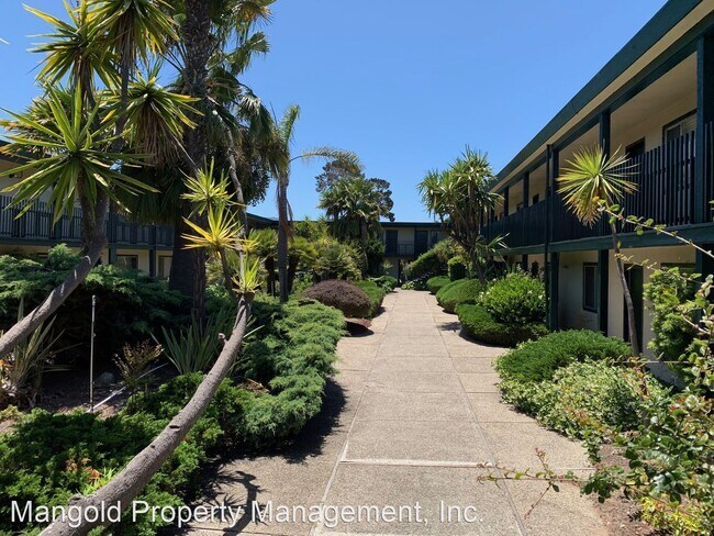 Foto del edificio - 666 Casanova Ave