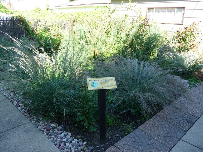 Jardín/patio de plantas autóctonas - 2318 W Diversey Ave