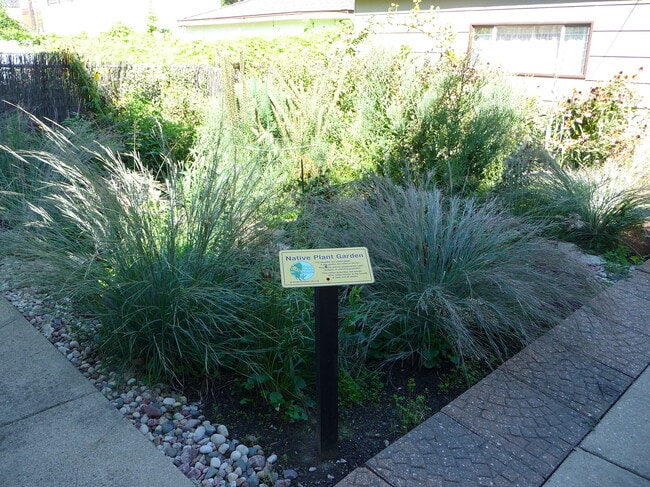 Native Plant Garden/Yard - 2318 W Diversey Ave