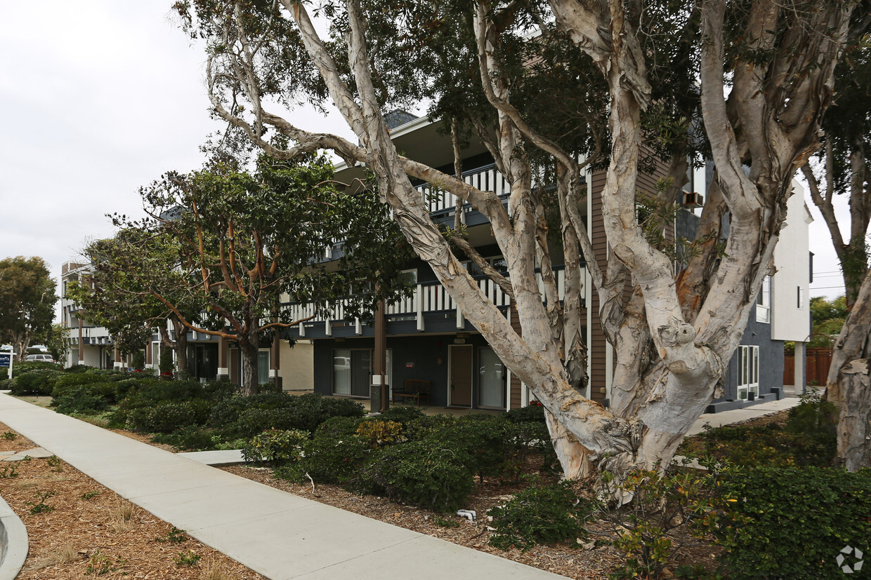 Building Photo - 2725 Camino Del Mar