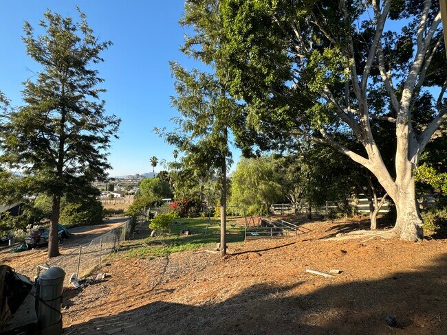 Huge front/side gated yard with swing set, fruit trees and huge beautiful massive trees - 14396 Rios Canyon Rd