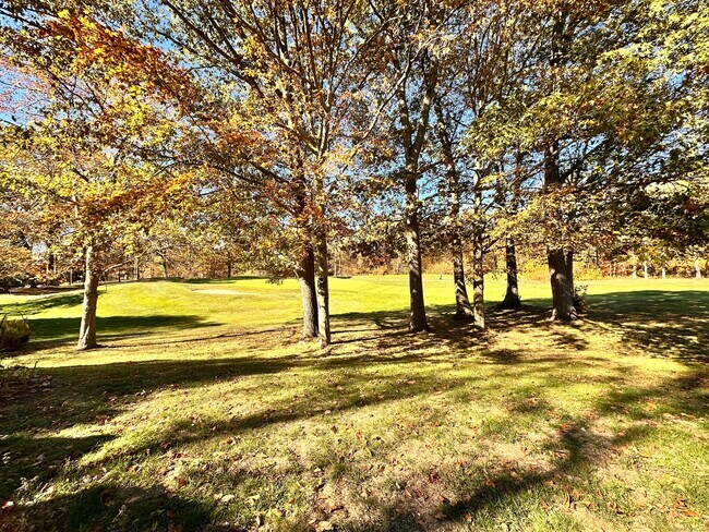 Foto del edificio - 193 Bayfield Ln