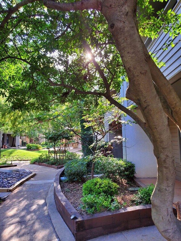 Foto principal - 11140 N Stratford Dr