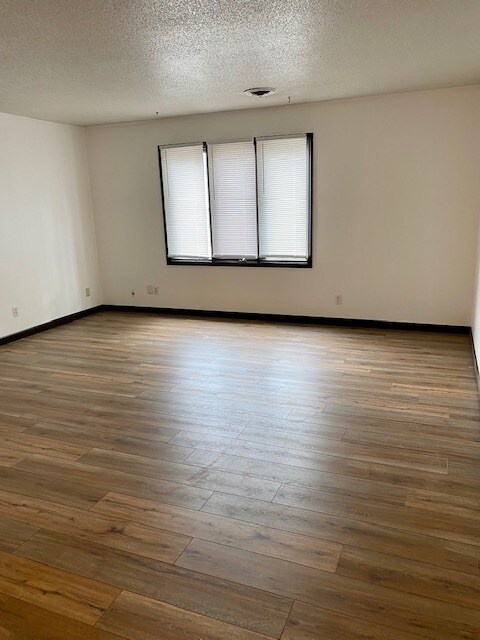 Living Room - 1222 W Monroe St