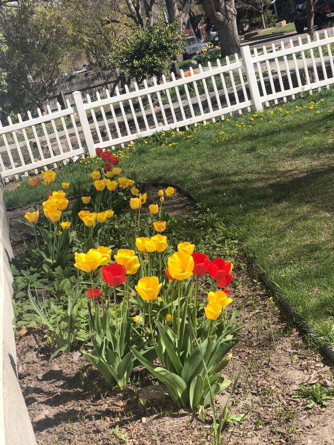 Foto del edificio - 1529 S Vermont Ave