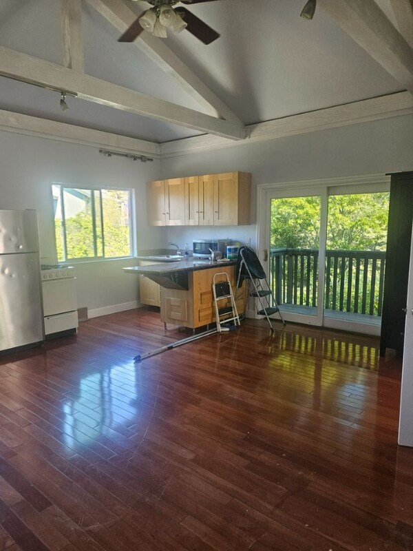 17 Albion St Unit 1, San Rafael, CA 94901 Room for Rent in San Rafael