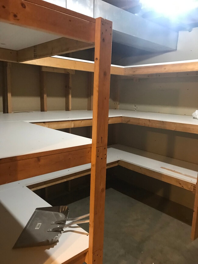 Storage in Basement - 14707 Dominica Ct