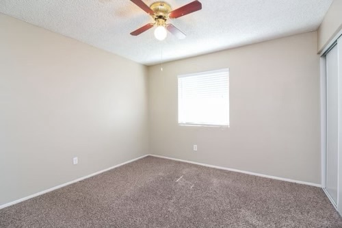 Foto del edificio - 34251 Belmont Ave W