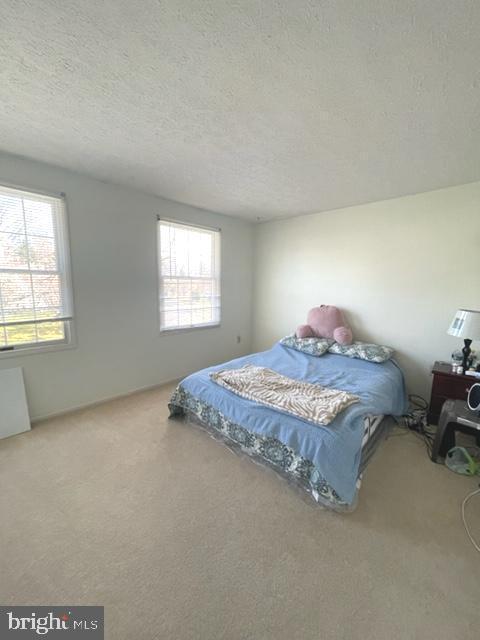 Building Photo - 1127 Netherlands Ct