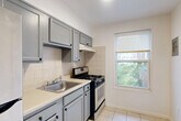 Located at 1517 Young St SE in Washington, DC, this one-bedroom, one-bathroom unit offers a well-organized, efficiently designed floor plan across a single level. Warm parquet hardwood flooring flows throughout the living room and bedroom, adding a classic character to the interior's clean, neutral palette of white walls and white trim.

The living room is a bright, open space with windows that look out onto lush greenery, allowing natural light to fill the room. Radiator heating units are present in both the living area and bedroom, contributing to a traditional residential feel.

The kitchen is thoughtfully equipped with grey cabinetry, white tile backsplash, light-tiled flooring, a stainless steel refrigerator, a gas range, and a double-basin sink. A window above the range area provides additional natural light and ventilation.

The bedroom is a comfortable, well-proportioned room featuring a double closet, a large window with outdoor views, and the same warm parquet flooring found throughout the unit. The space offers a calm, private retreat.

The bathroom includes a full tub-shower combination with white tile surround, a toilet, and a window for natural light and ventilation. The overall ambiance of the unit is clean, functional, and well-maintained, making it a practical home in Southeast Washington, DC.