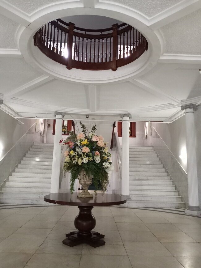 Foto del edificio - 15 Mount St Mary's Way