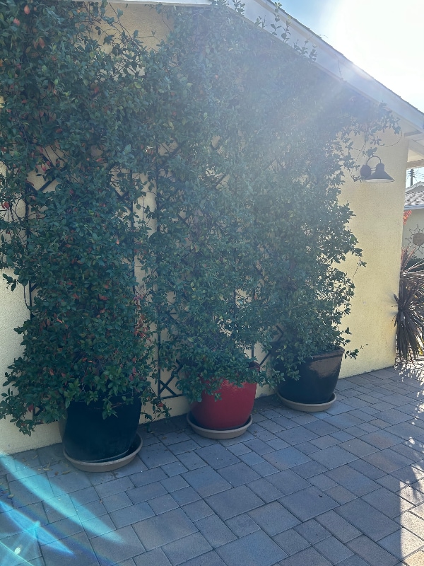 Foto del edificio - 8479 Avalon Ct