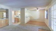 This single-floor space is designed with an open-concept layout that connects the living area and kitchen, creating a sense of spaciousness and ease of movement throughout. The living area is finished with wall-to-wall carpeting, lending a comfortable, warm feel underfoot, while neutral-toned walls provide a clean, versatile backdrop throughout the space.

A ceiling fan with an integrated light fixture is centrally positioned in the living area, offering both air circulation and ambient lighting. A built-in wall-mounted breakfast bar with bracket supports extends from a partial dividing wall, providing a casual dining or workspace option that adds functional versatility without sacrificing the open feel.

The adjacent kitchen is partially separated by a structural column and features light wood cabinetry, a white range with overhead ventilation, and a countertop sink area. Hard flooring in the kitchen contrasts with the carpeted living space, clearly delineating the two zones. A textured ceiling is consistent throughout, and recessed ventilation is visible, contributing to the practical design of the space overall.