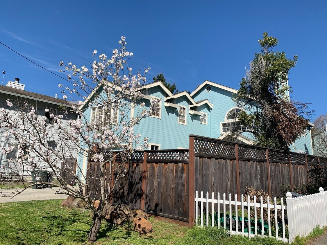 Primary Photo - Spacious Bright Thee Bedroom House in El G...