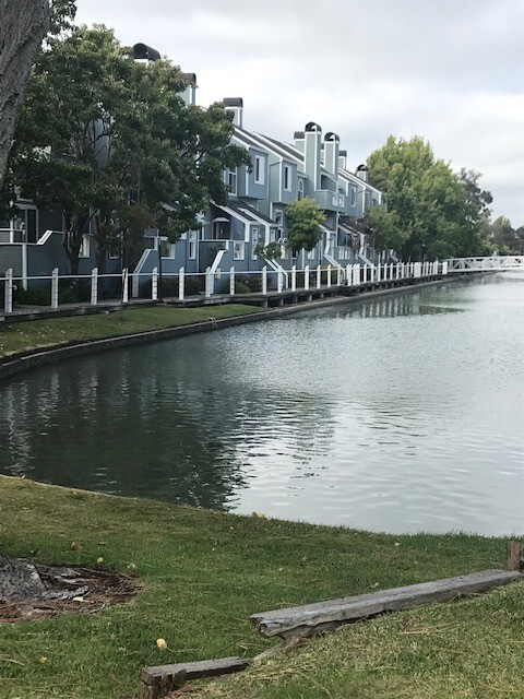 Foto principal - Redwood Shores Condo