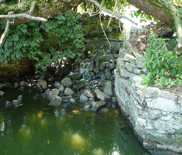 Waterfall at the Cincinnati Zoo