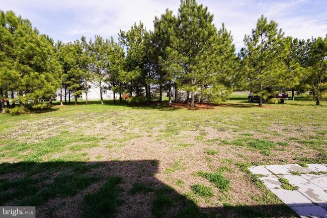 Building Photo - 2005 S Old Mill Dr