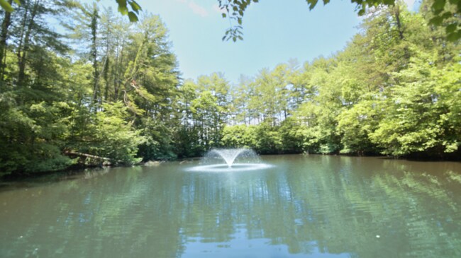 Foto del edificio - 111 Hidden Pond Ln