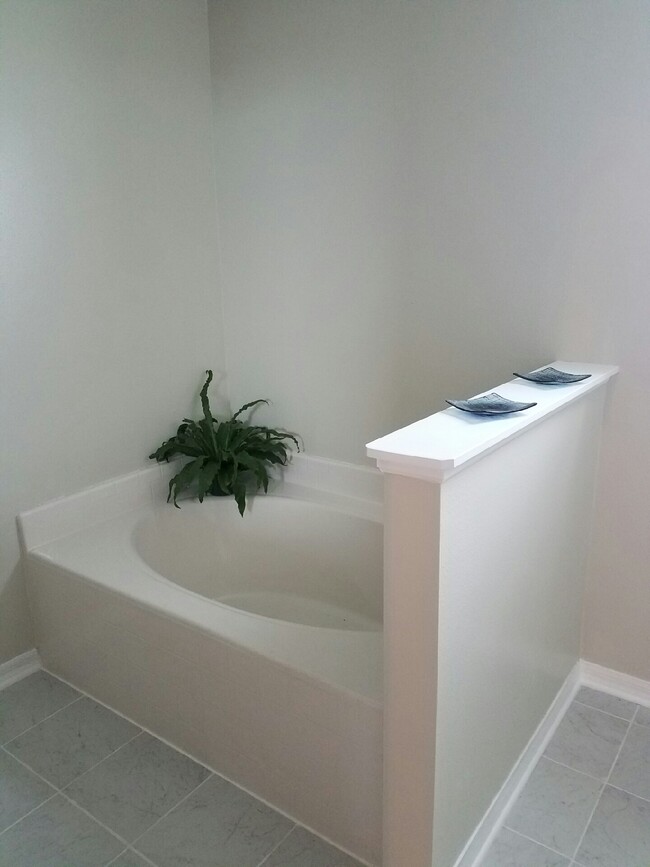 Master Bath with separate soaking tub and shower - 956 Black Coral Ave NW