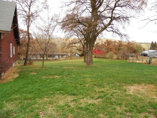 Building Photo - 3 bedroom 1 bath home with large yard