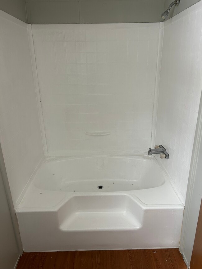 Master bathroom tub - 489 Vanzant Rd