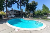 Located at 1285 Montecito Ave in Mountain View, California, this outdoor amenity space centers around a generously sized, kidney-shaped swimming pool with crystal-clear blue water. The pool is surrounded by a wide concrete deck that provides ample room for lounging and movement, and is complemented by a covered pergola structure and patio seating with umbrella-shaded tables and chairs — ideal for relaxing in the sunny California climate. The area is fully enclosed by a black iron fence, ensuring safety and privacy, with clearly posted pool rules and signage at the entrance gate. Towering mature trees, including tall pines and broad-canopied deciduous varieties, frame the space and cast dappled shade across the deck, adding to the serene, park-like atmosphere. Lush greenery and colorful flowering shrubs line the perimeter, enhancing the natural aesthetic. The surrounding residential buildings, finished in warm earth tones with balconies and pitched rooflines, are visible beyond the fence, reinforcing the community character of the space. Under clear blue skies, this well-maintained outdoor area offers a welcoming and functional recreational environment for residents of the Mountain View community.