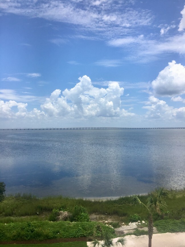 Foto del edificio - 19369 US Highway 19 North, Unit 3