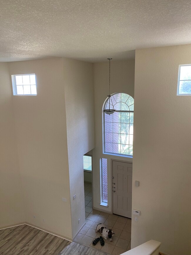 High ceiling - 7931 Sterling Mnr