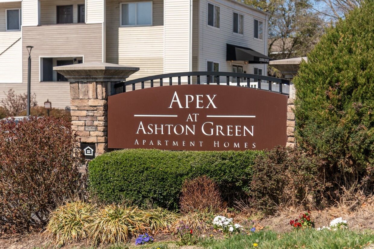 Primary Photo - Apex at Ashton Green